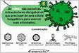 As 9 características principais dos vírus